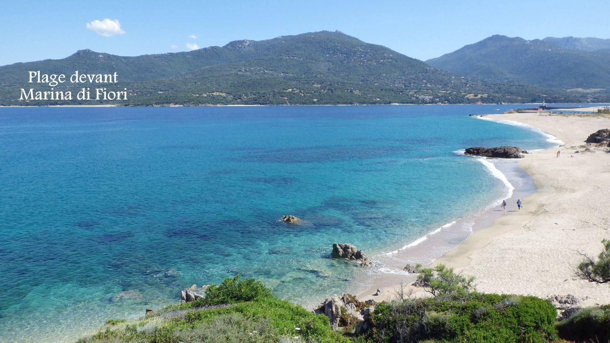 Marina Di Fiori Apartment Propriano  Bagian luar foto