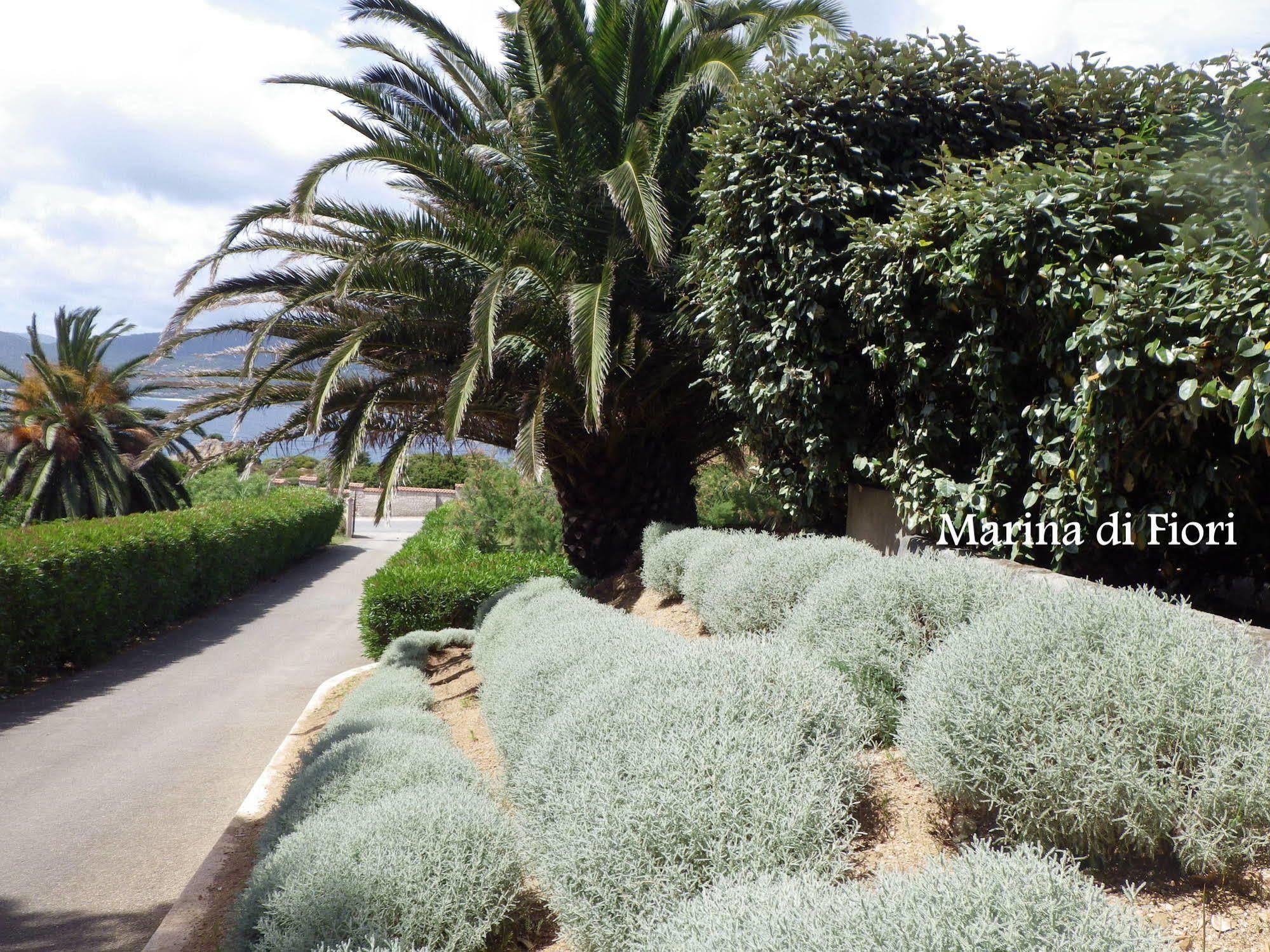 Marina Di Fiori Apartment Propriano  Bagian luar foto
